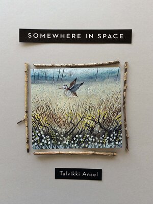 cover image of Somewhere in Space